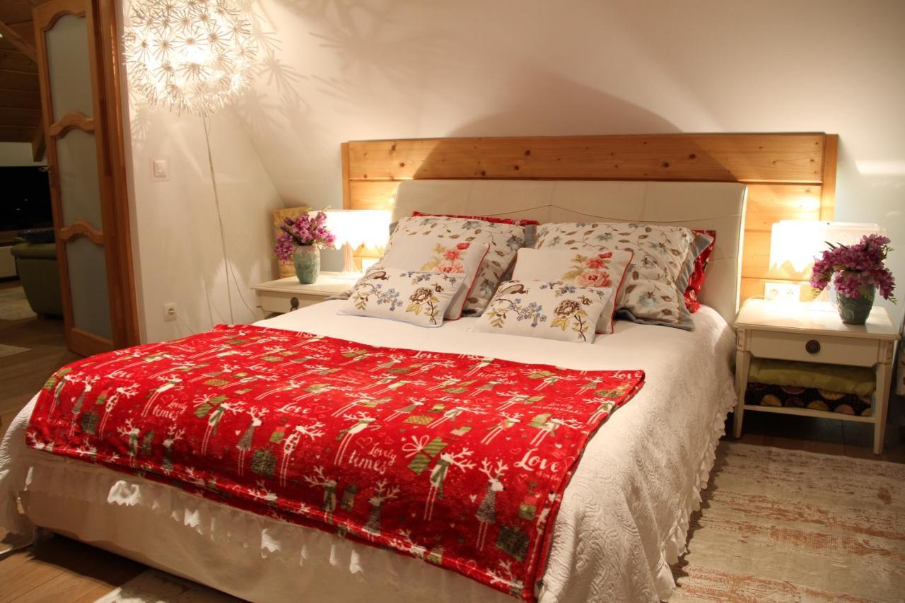 Rezydencja Tatry - Apartament Chamerion 1 Zakopane Extérieur photo
